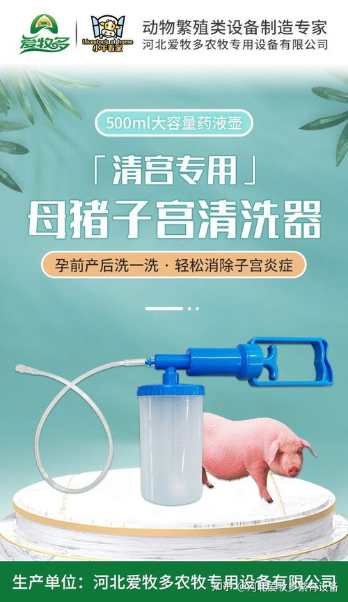 母猪清宫，如何确保操作正确
