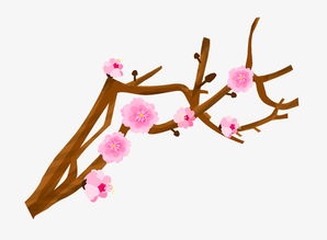 长寿花枝杆过长？巧妙修剪