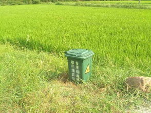 替代农药的选择