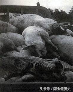 事故经过和后来啊