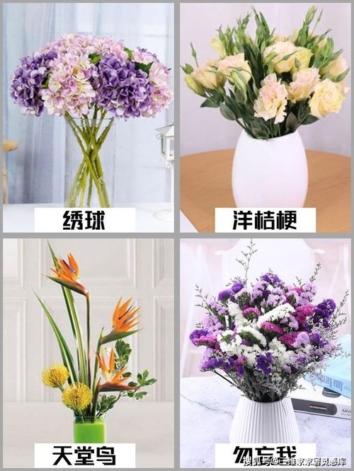 非洲菊鲜切花养护小技巧， 让你家的花“活”得梗久