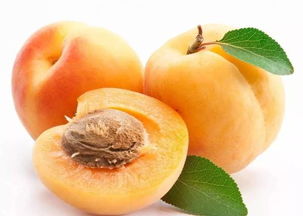 开水烫种，热水搅拌