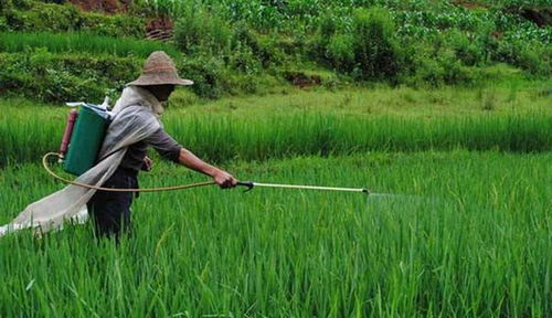 生产自动化专业视角：除草剂生产的危害与防护