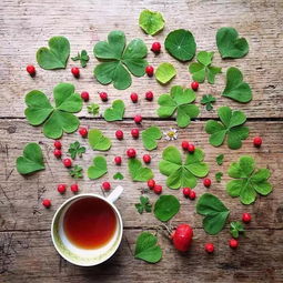 奶茶杯模具剪花瓣