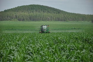 怎么用这个缩节胺呢？