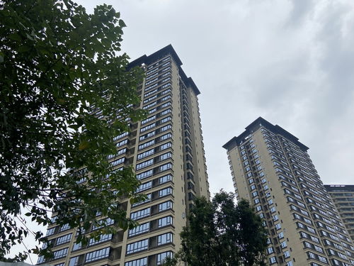 楼盘位置和交通