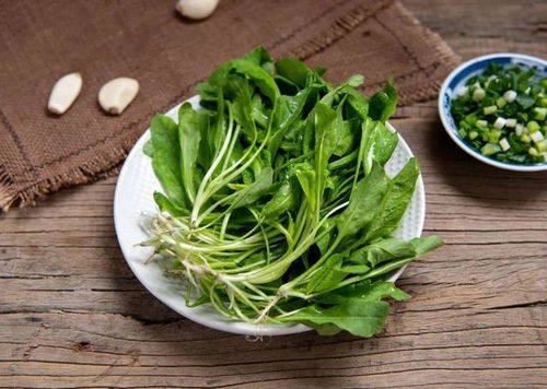 荠菜图片功效与作用：你知道荠菜有哪些意想不到的健康益处吗