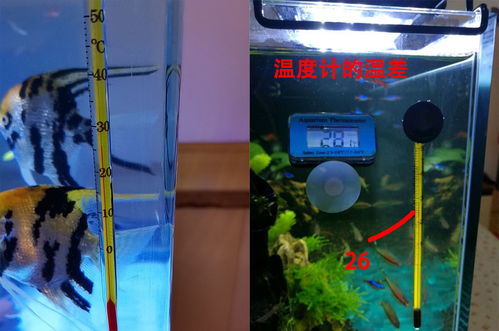 哪个品牌热带鱼缸加热棒质量最好？求推荐！