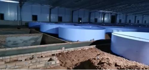 沼气池问题多，农业养殖需改进