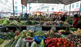 济南小吃摊位租金揭秘：探寻夜市里的烟火气