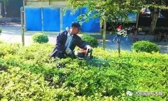 植树节后的挑战