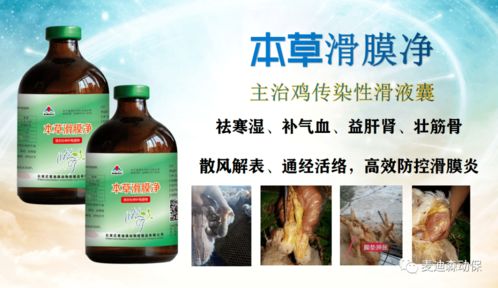 腐霉多菌灵与普通多菌灵有何区别？各自特性如何影响防治效果？