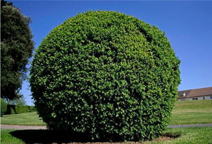 规格的符号，简化表达