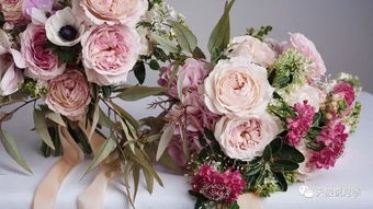 凯拉的愿望月季：那些花儿的故事