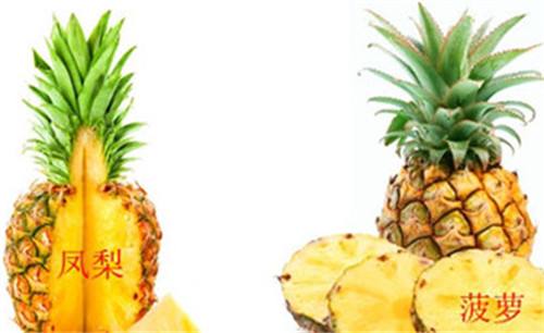 凤梨花名字繁多， 让人眼花缭乱