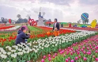 “打造绿植基地，选址与品种规划