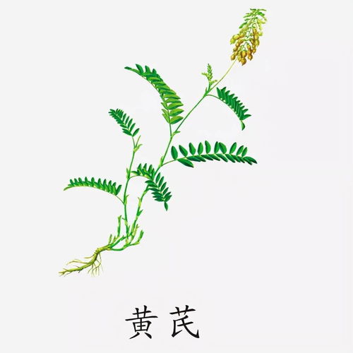 四、使用方法