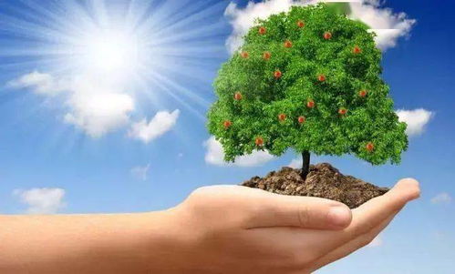 2025年化肥农药零增长政策的挑战与机遇