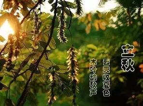 市紫贞公园抢抓秋季补栽黄金季