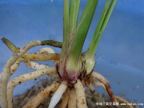 血泪教训，教训惨啊！