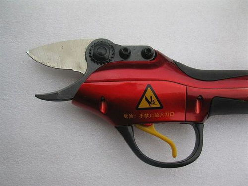 修剪树木的工具要选好