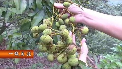 喷农药和水，得有顺序