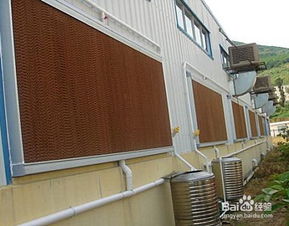 养猪场隔热通风，挂湿帘降温