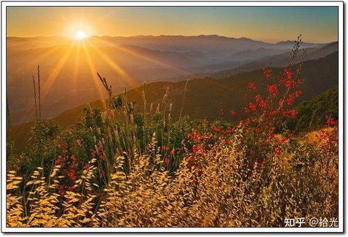 日出日落， 自然的魔法时刻