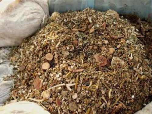 洗衣粉溶液， 虫子见你绕道走