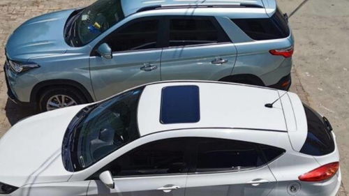 车内使用雷达杀虫剂， 残留问题引关注