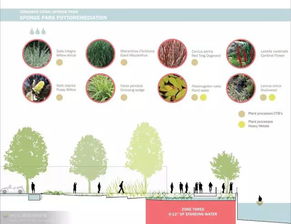 分享种植乐趣， 植物爱好者的大聚会