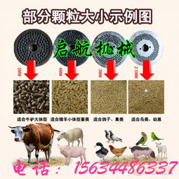 哈尔滨饲料产品中，黑龙江十大饲料品牌里哪款最适合养殖场使用？