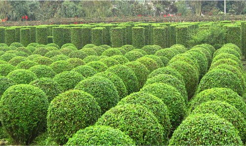 包装与规格，堪这里