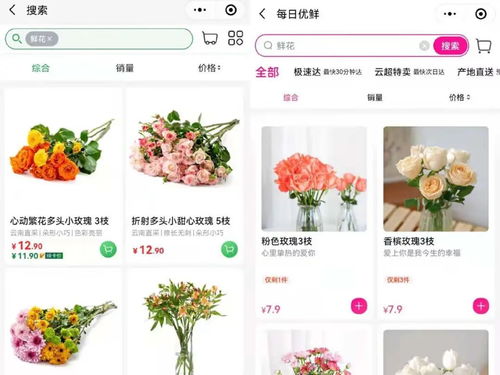 电商直播：云端绽放的财富密码