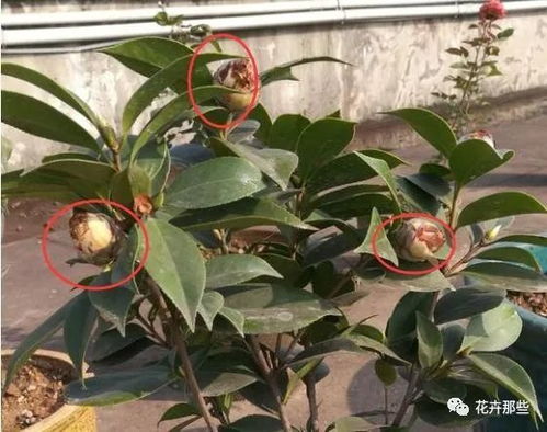 原因四：环境不适