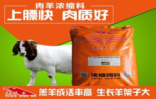 为什么水产饲料浓缩料配方新手总是亏钱？