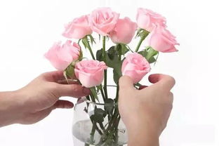 日常养护小贴士