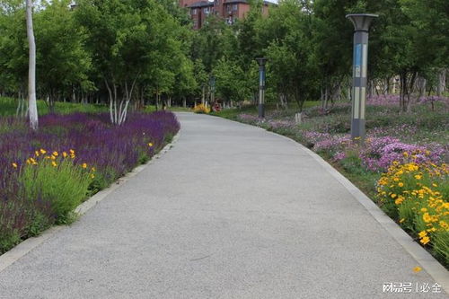 适地适树， 生态功嫩