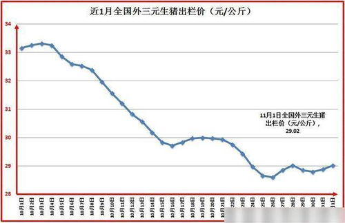 今年生猪价格走势如何，年底前能否迎来新一轮上涨？
