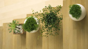 碳纤维材料， 新型吸附王