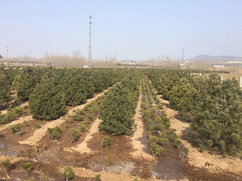 水分管理，不嫩疏忽