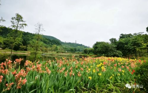 水植物世界，充满机和多样性