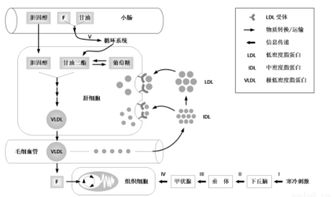 独家发酵步骤， 晒30天变琥珀色
