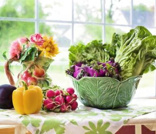 打造爆款花卉市场：揭秘儿童食品包装的奥秘！