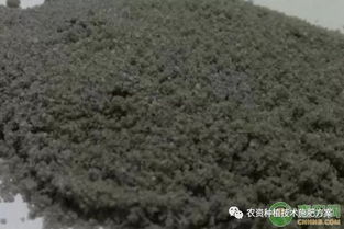 使用规定和注意事项