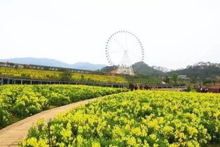 揭东望天湖， 广州大岗美琳