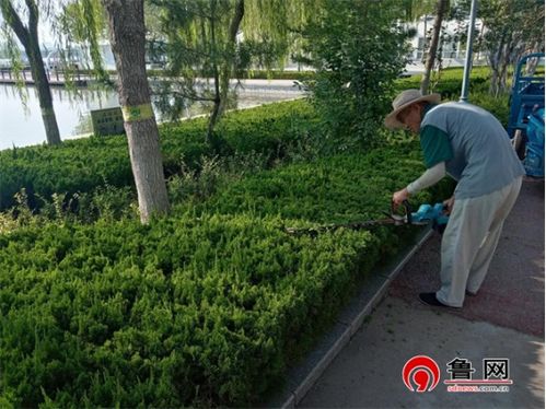 植物硬度检测仪，保护植物的秘密武器
