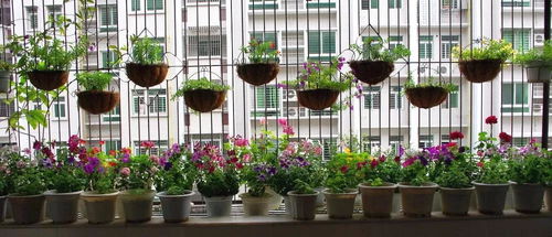 一、阳台种花技巧揭秘