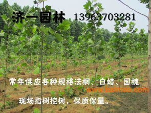 防治病害，多管齐下