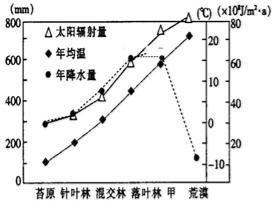 “请问在什么季节和气候条件下如何正确栽种折耳根才能保证其成活率